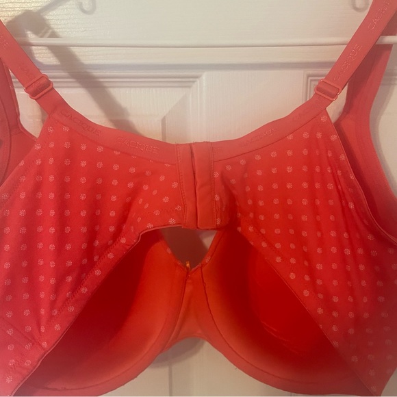 Full Support Bra - Picture 8 of 8